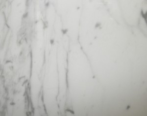 Marble Plus - Bianco Carrara Honed and Polished - Marble