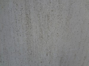 Marble Plus - Moca Cream - LIMESTONE