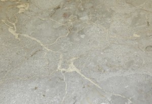 Marble Plus - Multi Grey Antique Bullnose - Marble